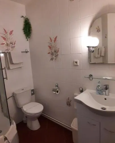 Hotel Excellent Praga
