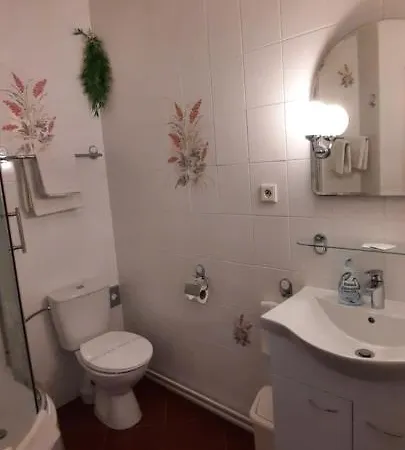 Otel Excellent Prag